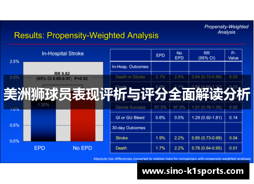 美洲狮球员表现评析与评分全面解读分析